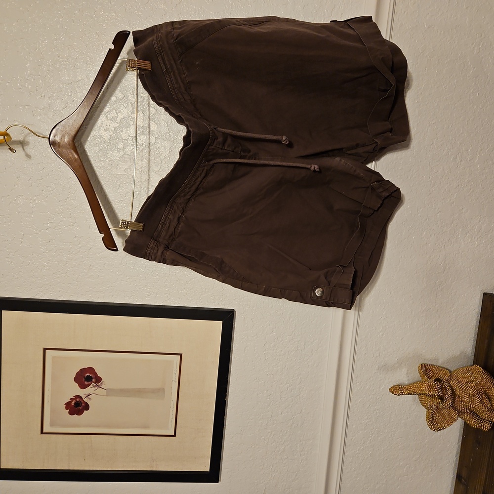 Lane Bryant Brown Shorts